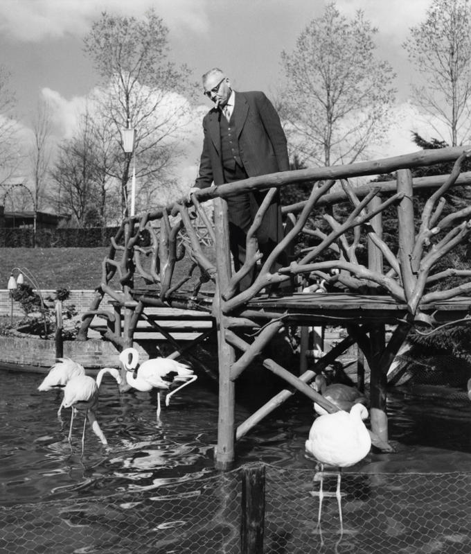 Er is nog geen publiek. En zo kan avifauna-eigenaar Martien van der Valk nog even rustig rondlopen Er is nog geen publiek. En zo kan avifauna-eigenaar Martien van der Valk nog even rustig rondlopen