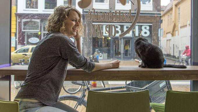 Hielkje Wester (Kattencafé Op z'n kop): 'Crowdfunding is eigenlijk verkapte marketing. Je weet gelijk of er belangstelling is' Hielkje Wester (Kattencafé Op z'n kop): 'Crowdfunding is eigenlijk verkapte marketing. Je weet gelijk of er belangstelling is'