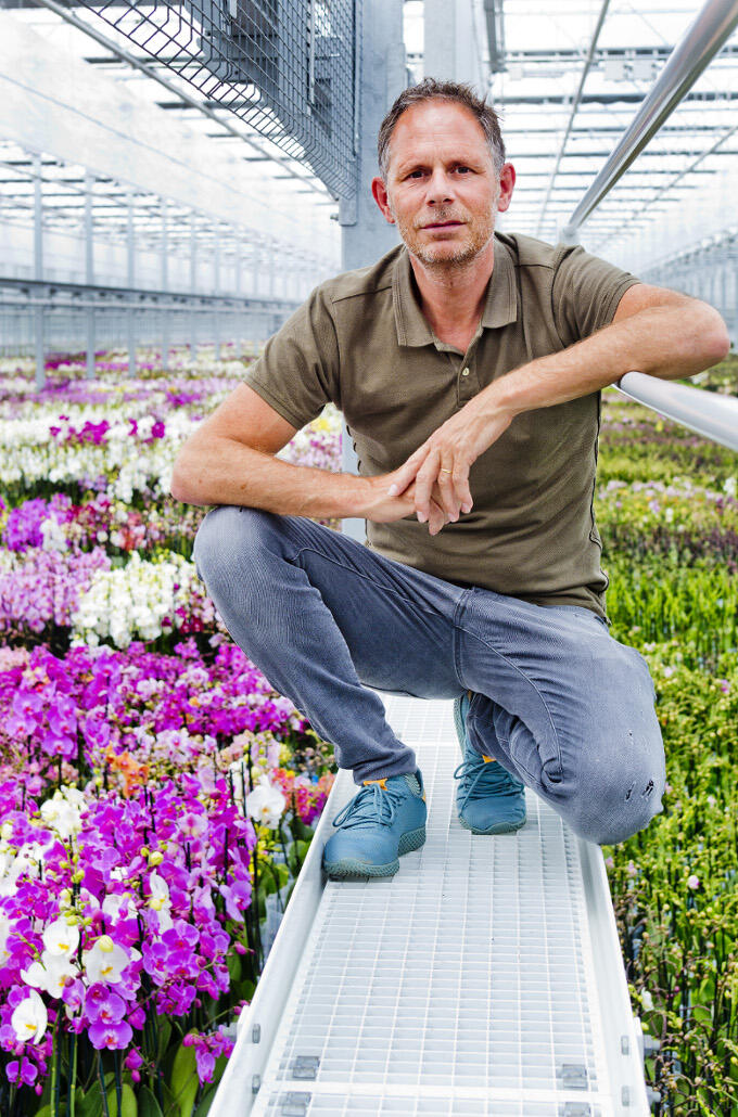 Voortdurend vernieuwen. Als je als orchideeënkweker zoals Richard ter Laak het hoofd boven water wil houden moet je wel innovatief en creatief zijn Voortdurend vernieuwen. Als je als orchideeënkweker zoals Richard ter Laak het hoofd boven water wil houden moet je wel innovatief en creatief zijn