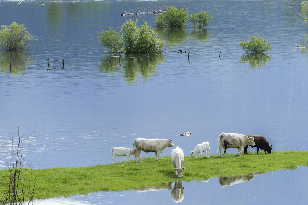 'Verkiezingen waterschap mogen niet gepolitiseerd worden’